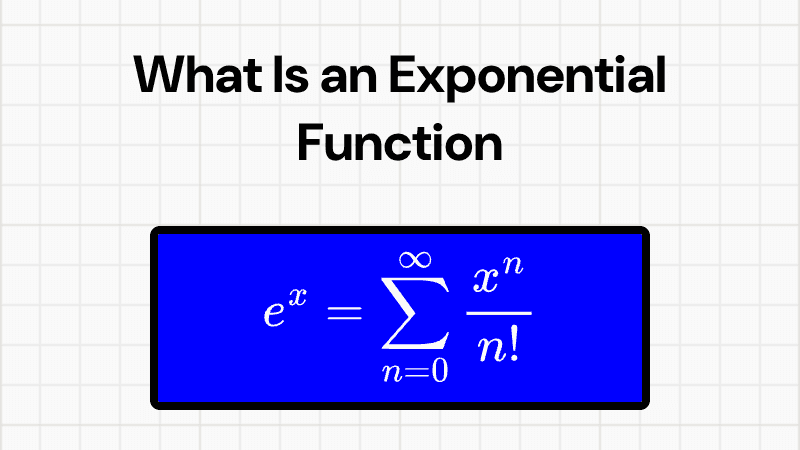 What Is an Exponential Function and Why Does It Grow So Fast?
