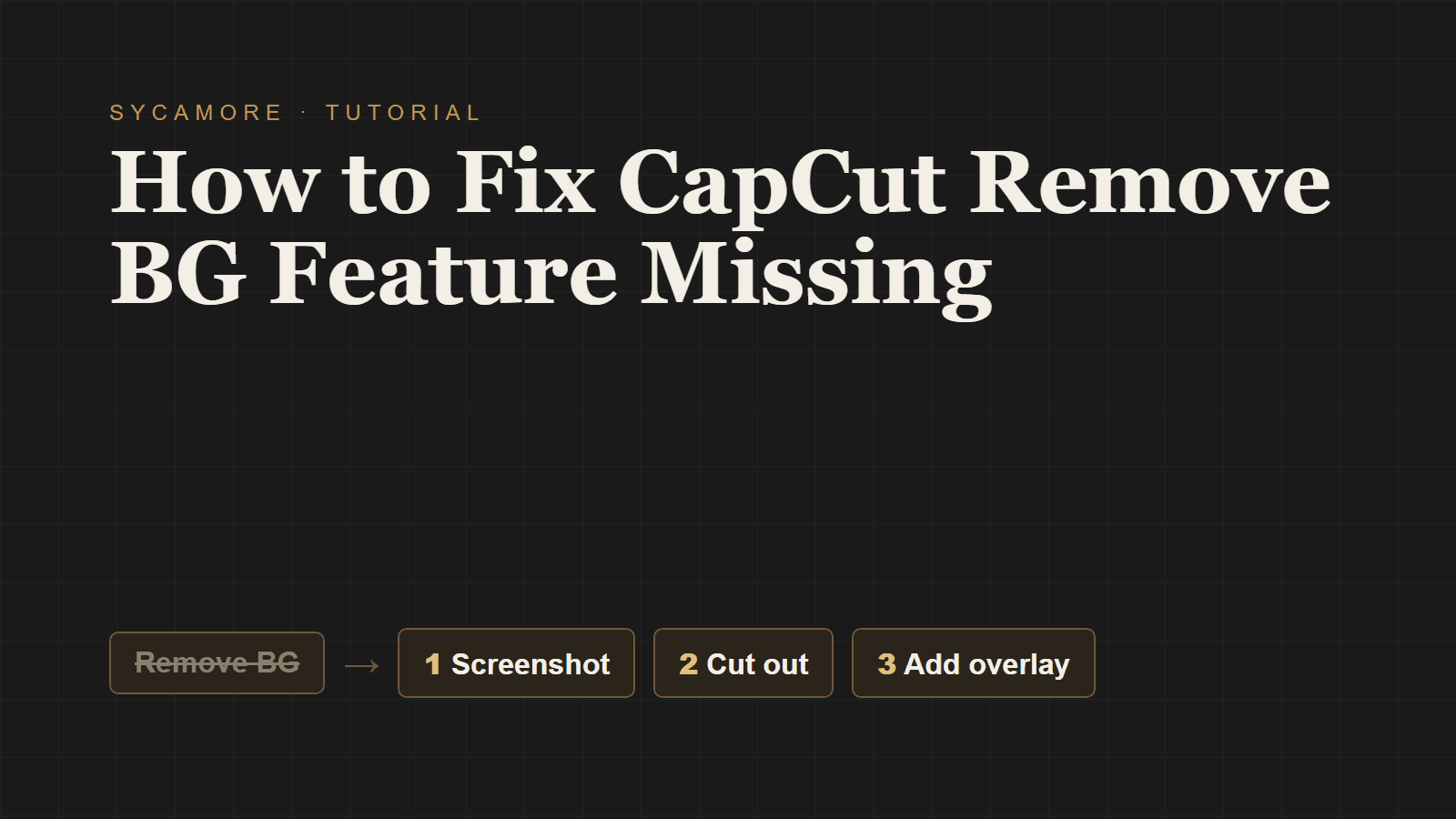 How to Fix CapCut Remove BG Feature Missing